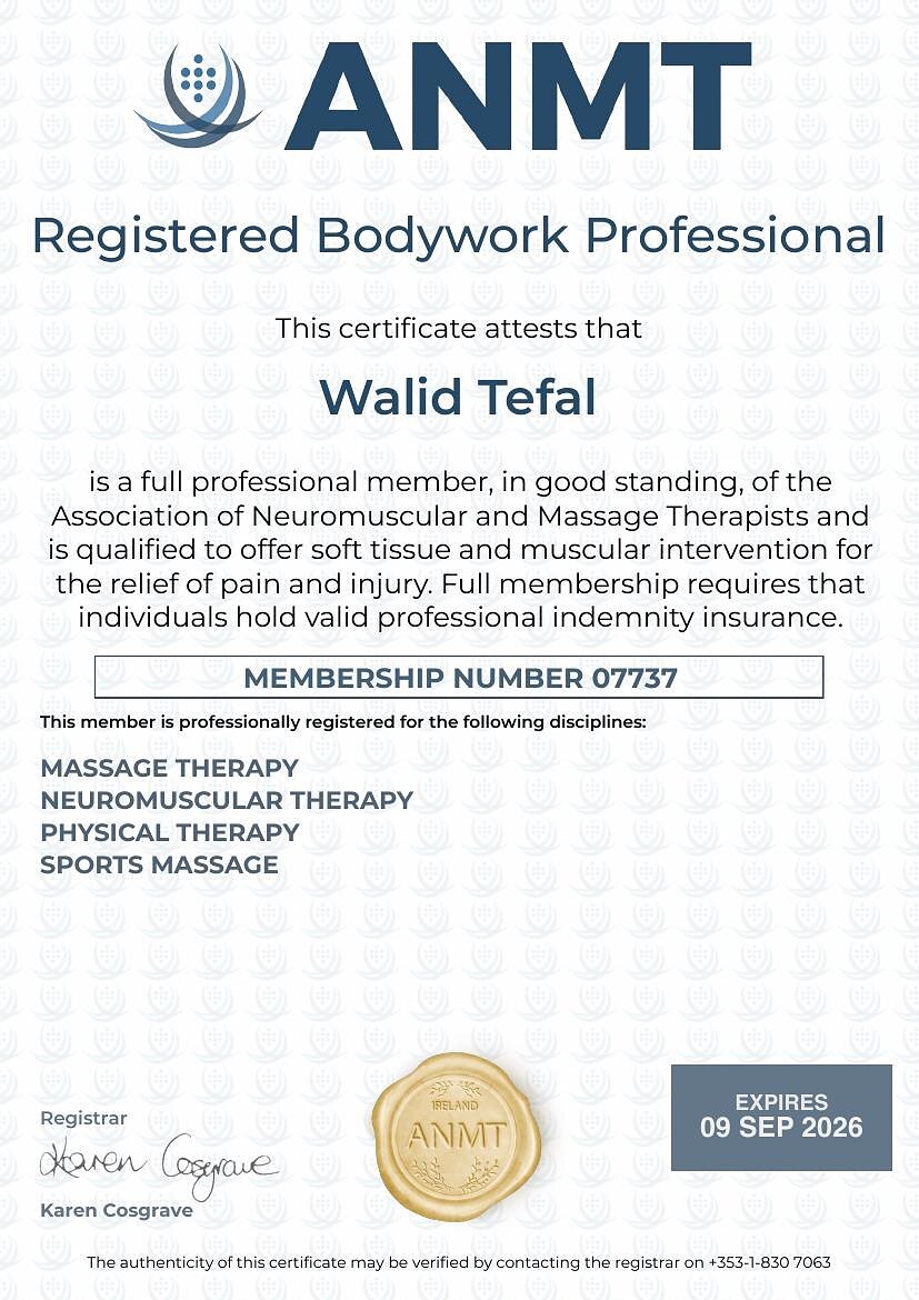 ANMT Registered Bodywork Professional